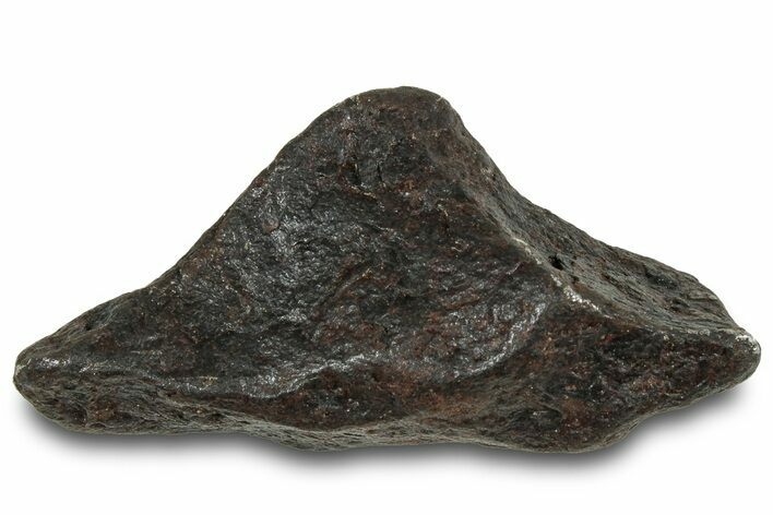 Canyon Diablo Iron Meteorite ( g) - Arizona #319657